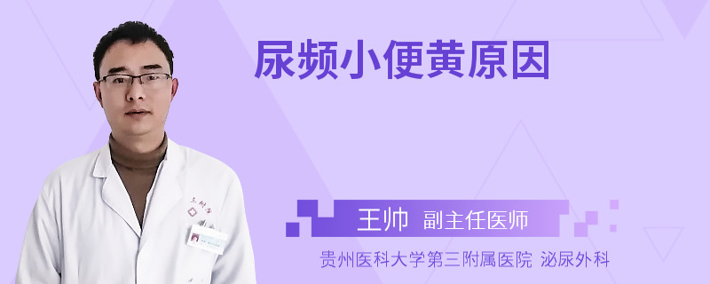 尿频小便黄原因