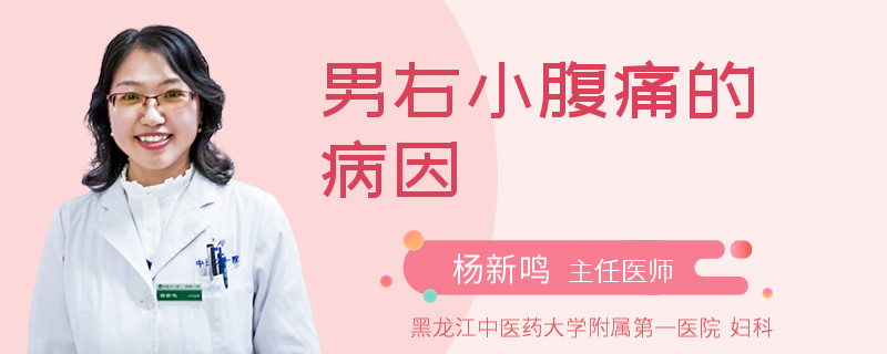 男右小腹痛的病因