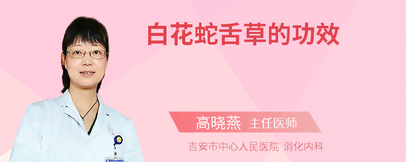 白花蛇舌草的功效