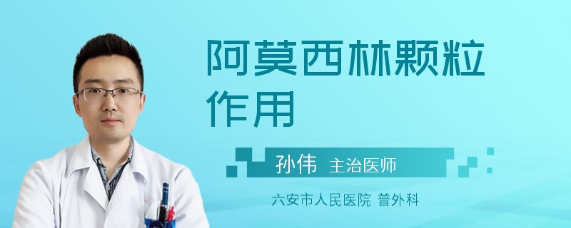 阿莫西林颗粒作用