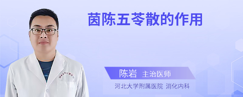 茵陈五苓散的作用