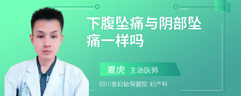 下腹坠痛与阴部坠痛一样吗
