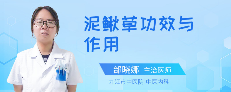 泥鳅草功效与作用