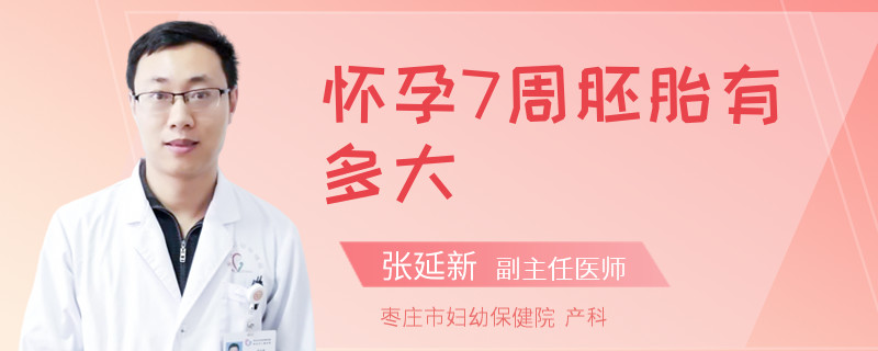 怀孕7周胚胎有多大