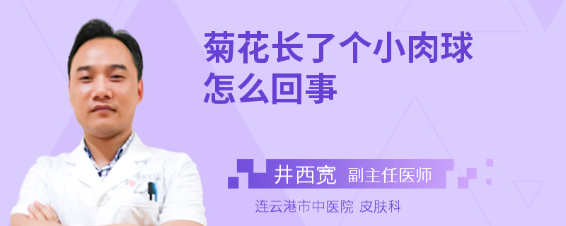 菊花长了个小肉球怎么回事