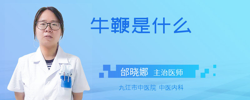 牛鞭是什么