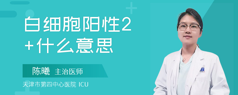 白细胞阳性2+什么意思