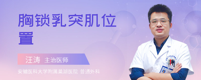 胸锁乳突肌位置