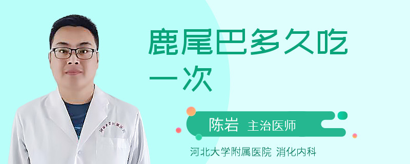 鹿尾巴多久吃一次