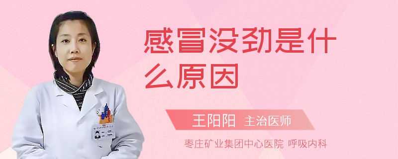 感冒没劲是什么原因