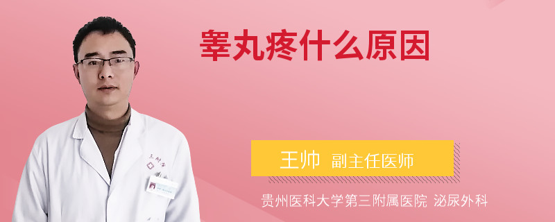 睾丸疼什么原因