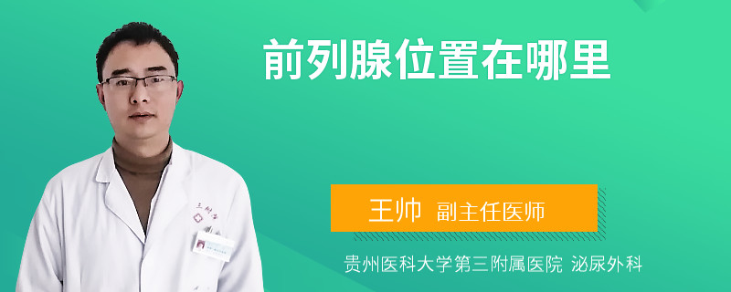 前列腺位置在哪里