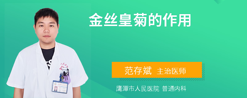 金丝皇菊的作用