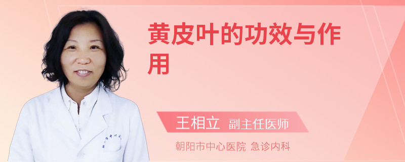 黄皮叶的功效与作用