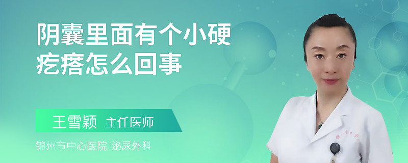 阴囊里面有个小硬疙瘩怎么回事