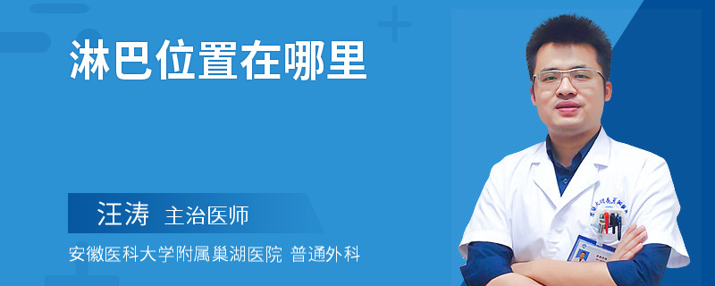 淋巴位置在哪里