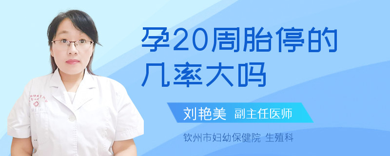 孕20周胎停的几率大吗