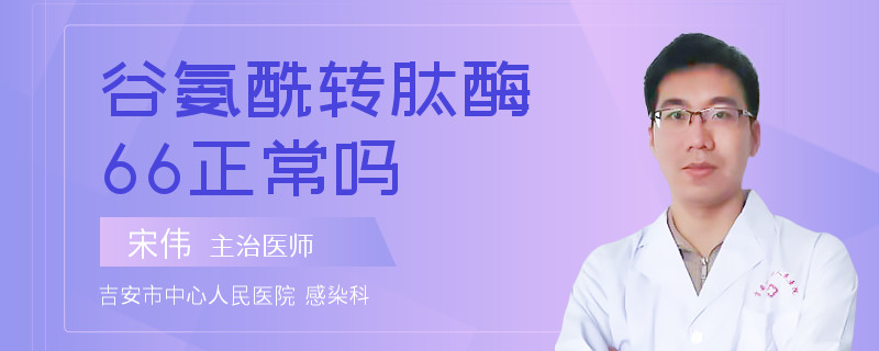 谷氨酰转肽酶66正常吗