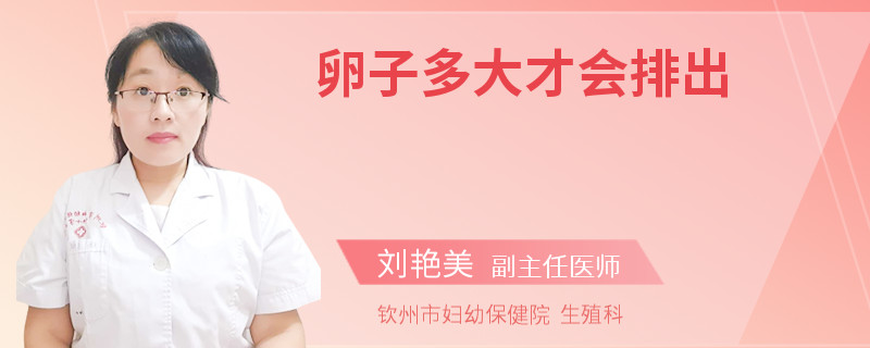 卵子多大才会排出