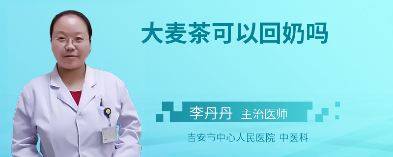 大麦茶可以回奶吗