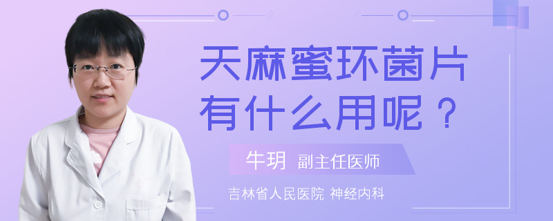 天麻蜜环菌片有什么用呢？