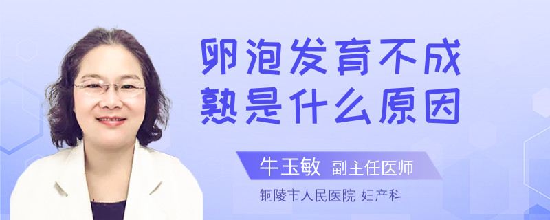 卵泡发育不成熟是什么原因