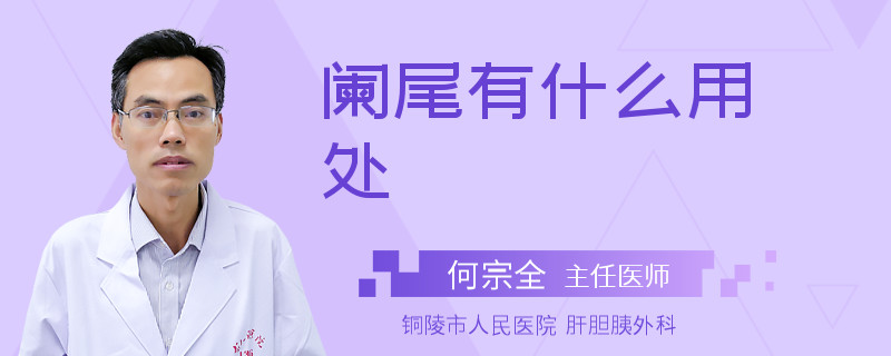 阑尾有什么用处