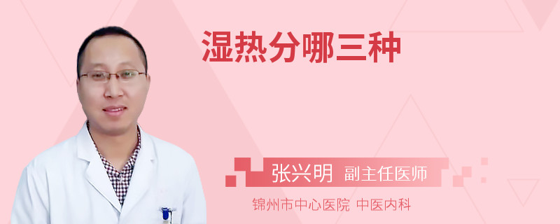 湿热分哪三种
