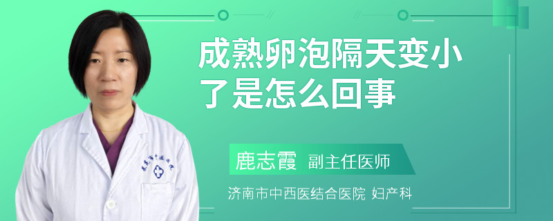 成熟卵泡隔天变小了是怎么回事