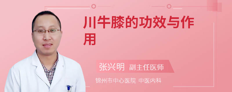 川牛膝的功效与作用