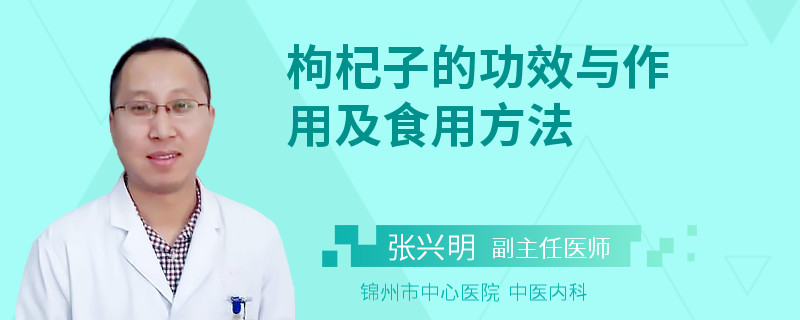 枸杞子的功效与作用及食用方法