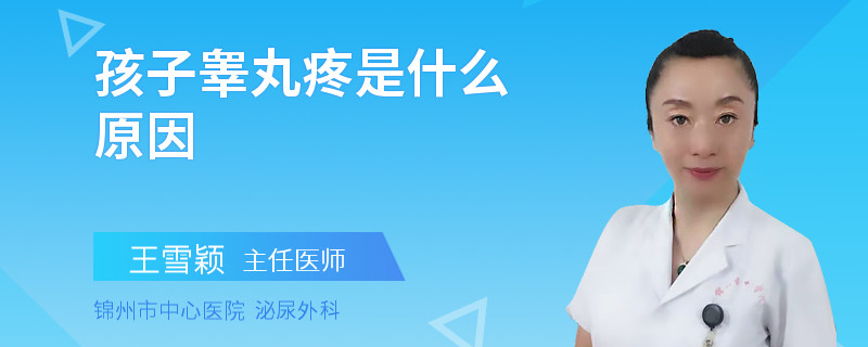 孩子睾丸疼是什么原因