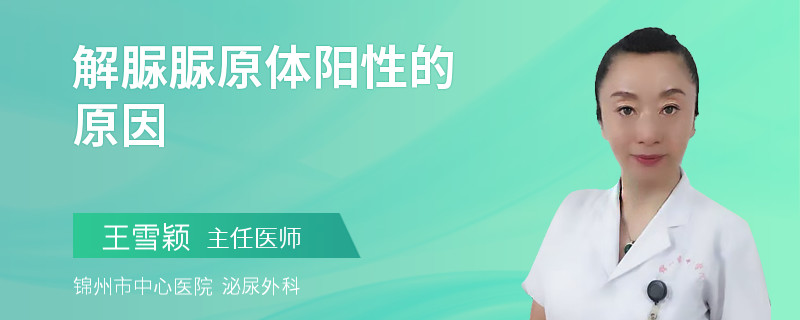 解脲脲原体阳性的原因