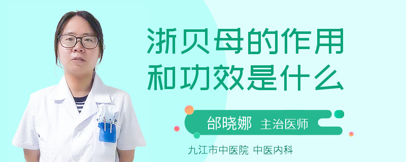 浙贝母的作用和功效是什么