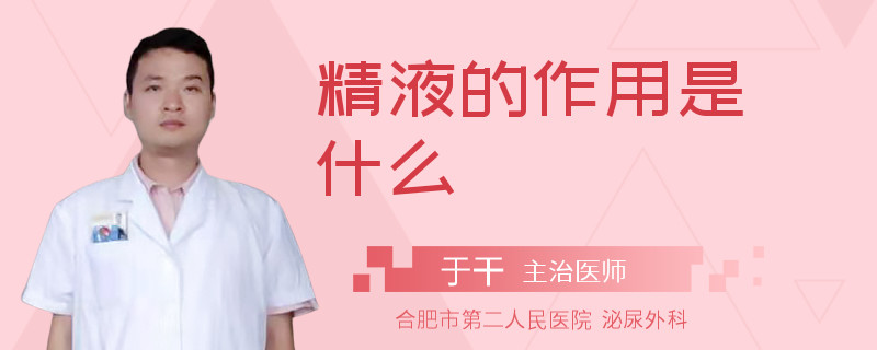精液的作用是什么