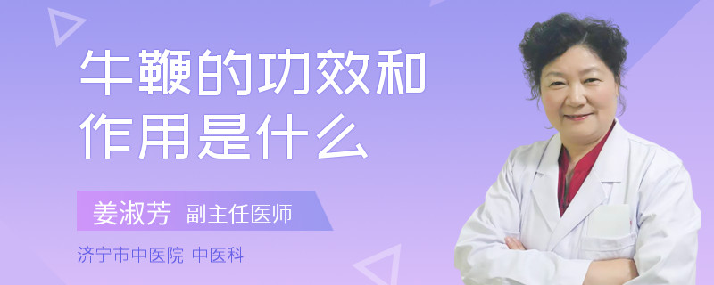牛鞭的功效和作用是什么
