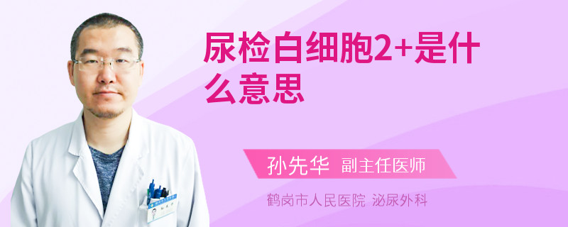 尿检白细胞2+是什么意思
