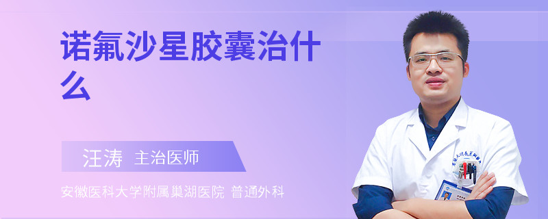 诺氟沙星胶囊治什么