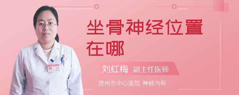 坐骨神经位置在哪