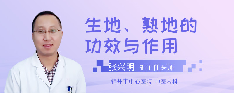 生地、熟地的功效与作用