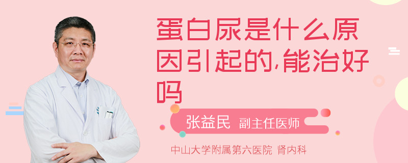 蛋白尿是什么原因引起的,能治好吗