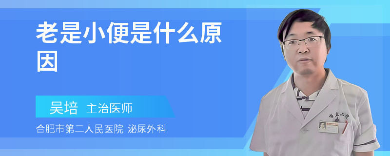 老是小便是什么原因