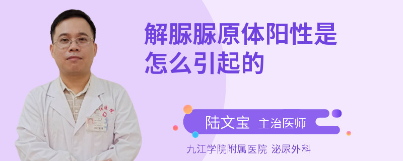 解脲脲原体阳性是怎么引起的