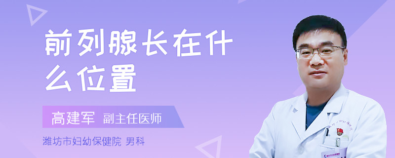 前列腺长在什么位置