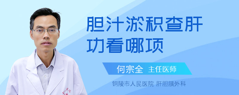 胆汁淤积查肝功看哪项