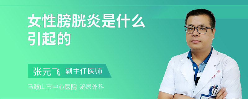 女性膀胱炎是什么引起的