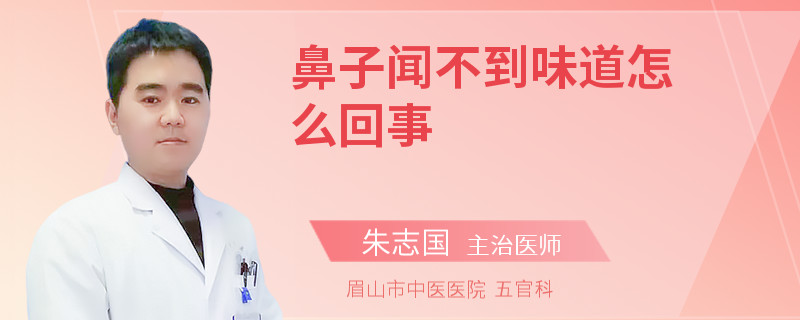 鼻子闻不到味道怎么回事