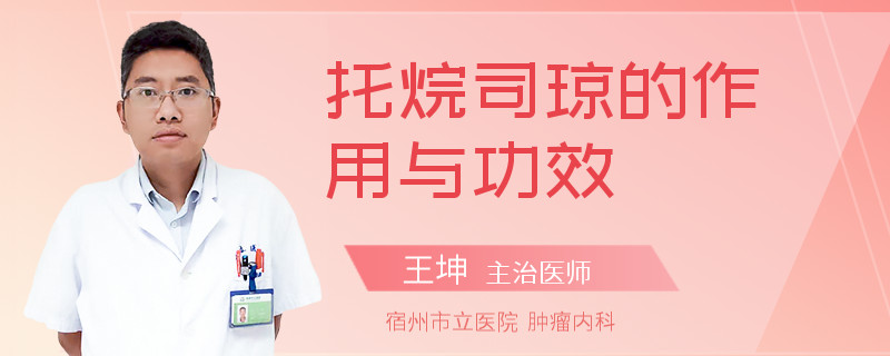 托烷司琼的作用与功效