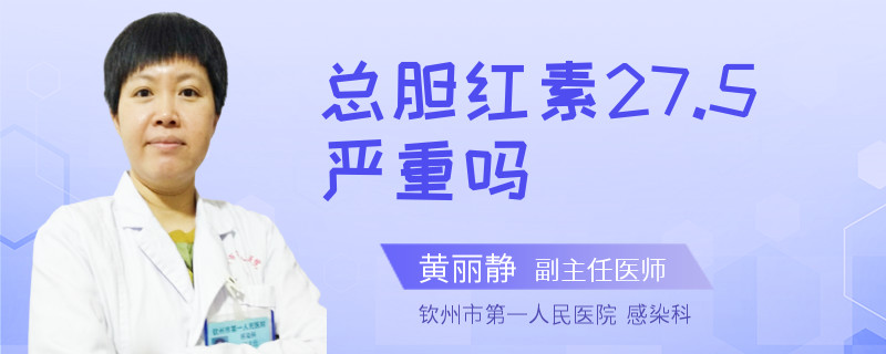 总胆红素27.5严重吗