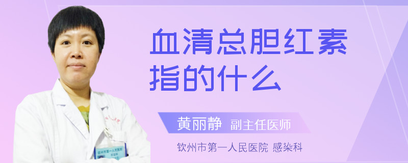 血清总胆红素指的什么